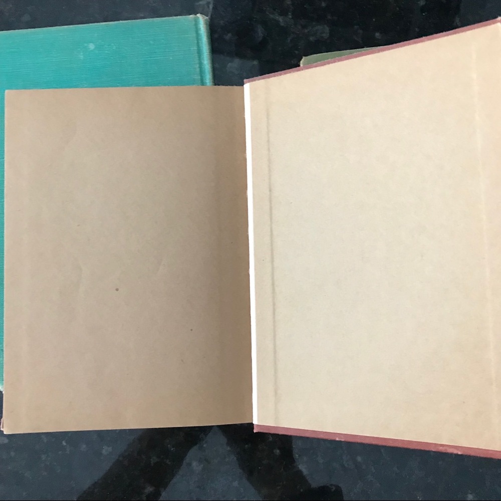 Antique Book The Treasure Chest of Literature 1929 - Picture 6 of 8